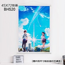 (45X72)BH520-你的名字动漫白色塑料杆挂画